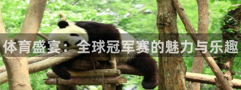 857足球比赛免费直播：体育盛宴：全球冠军赛的魅力与乐趣