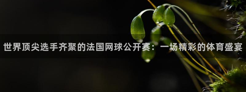 857足球直播免费看：世界顶尖选手齐聚的法国网球公开赛：一场精彩的体育盛宴