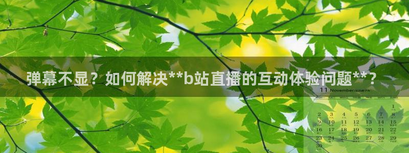 857ty体育直播：弹幕不显？如何解决**b站直播的互动体验问题**？